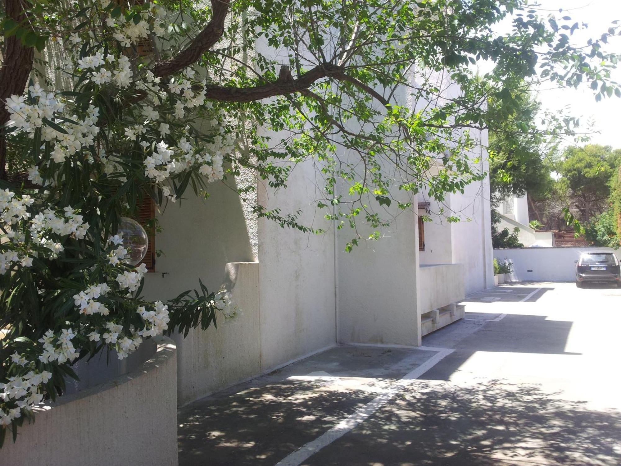 Residence Orsa Minore Gallipoli Bagian luar foto
